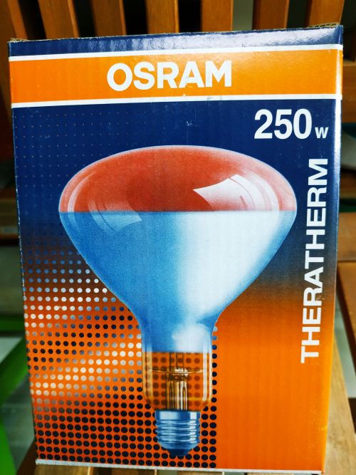 Bóng đèn hồng ngoại Osram Đức